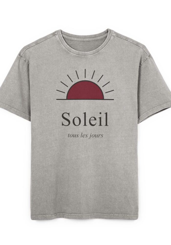 Soleil Washed Tee in Asphalt