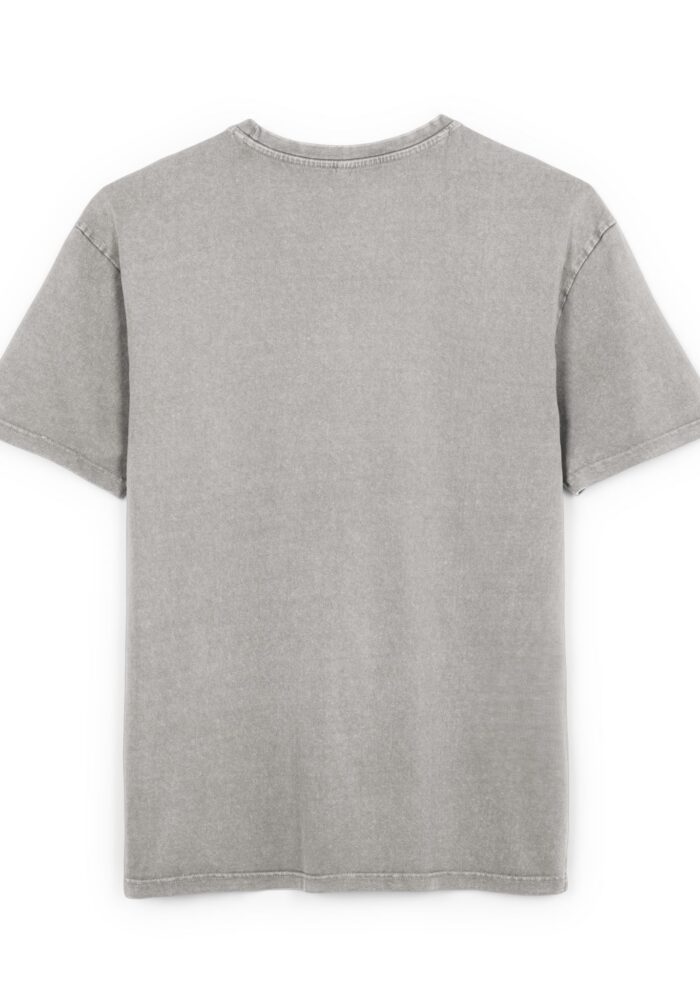Coquillage Washed Tee in Asphalt, view 2